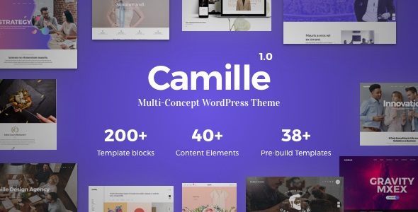 Camille - Multi-Concept WordPress Theme.jpg
