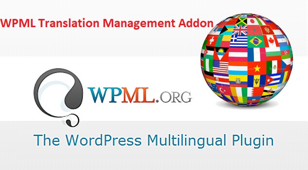 WPML Translation Management Addon.jpg